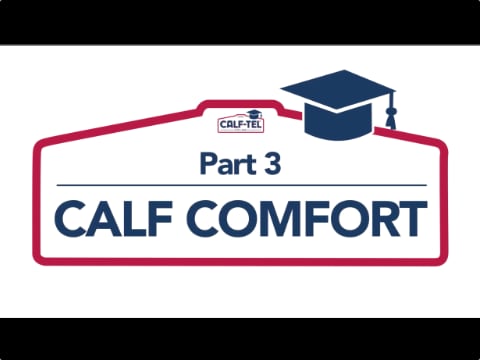 Calf-Tel College - Calf Comfort